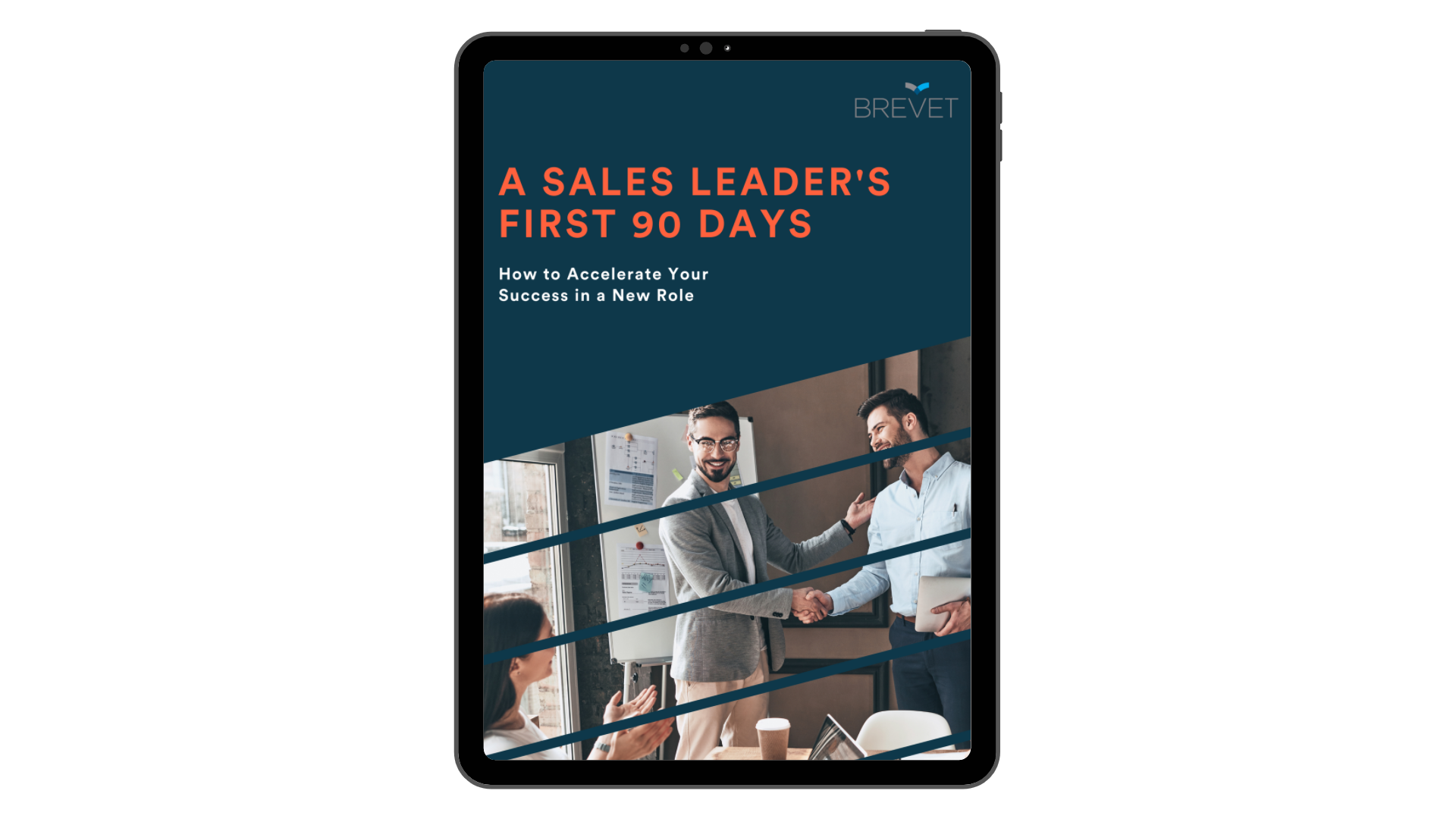 Sales Leader - 90 Days eBook